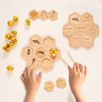 Детская Когнитивная Игрушка Деревянный Улей Пчелы Хватают Игрушки Цикл Роста Медоносной Пчелы Когнитивная Карта Игра На Координацию рук И Ног 0