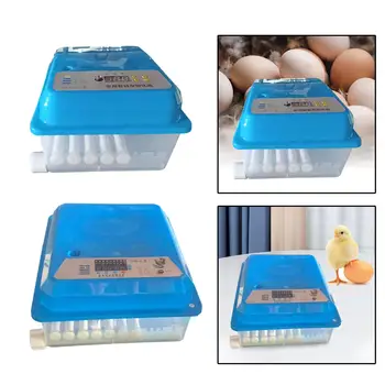 Инкубаторы для цыплят Инкубационные Яйца Регулируемый Лоток Для яиц Инструмент для выведения яиц
