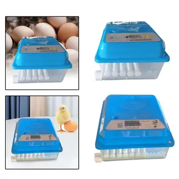 Инкубаторы для цыплят Инкубационные Яйца Регулируемый Лоток Для яиц Инструмент для выведения яиц 3