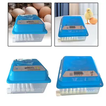 Инкубаторы для цыплят Инкубационные Яйца Регулируемый Лоток Для яиц Инструмент для выведения яиц 4