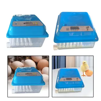 Инкубаторы для цыплят Инкубационные Яйца Регулируемый Лоток Для яиц Инструмент для выведения яиц 5